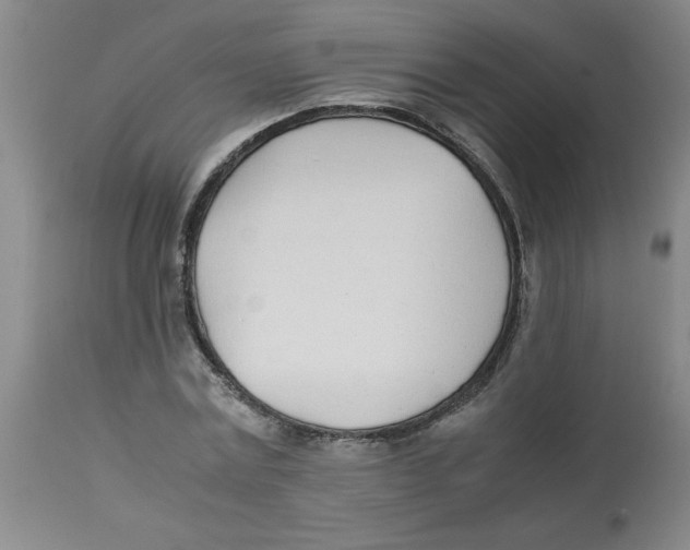 X0000112870779200909181823