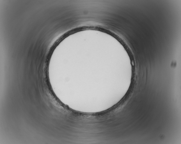 X0000112870783200909181823