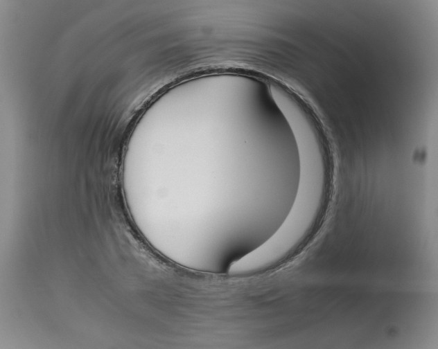 X0000112870785200909181823