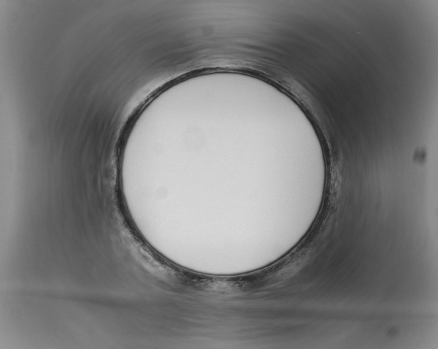 X0000112870787200909181823