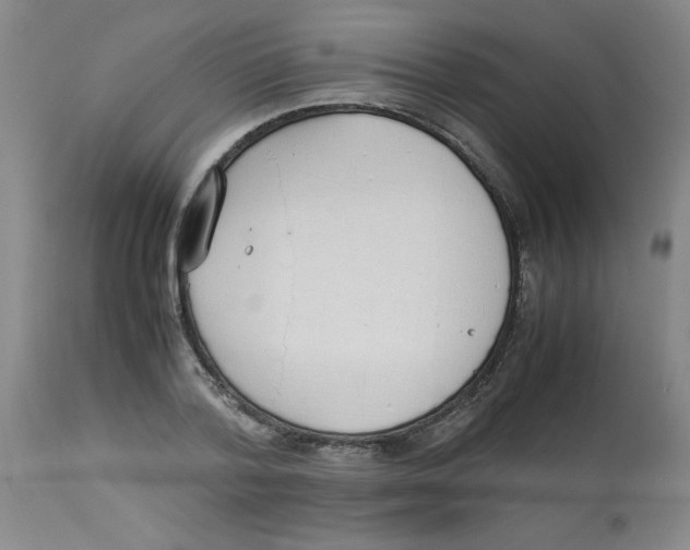 X0000112870788200909181823