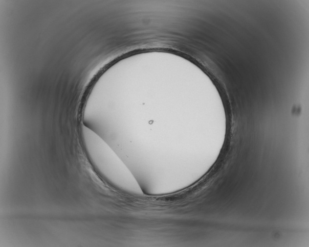 X0000112870789200909181823