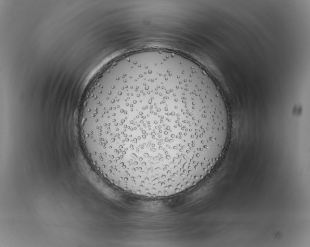 X0000112870798200909181823