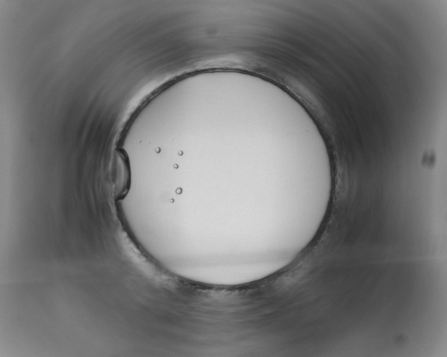 X0000112870800200909181823