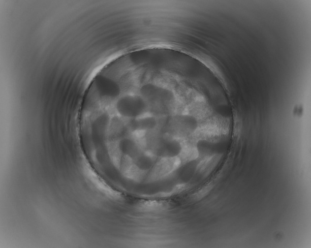 X0000112870806200909181823