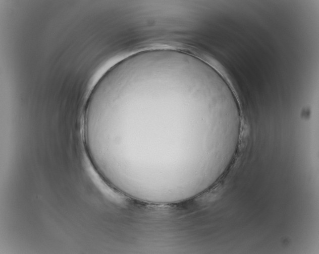 X0000112870811200909181823