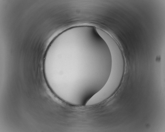 X0000112870813200909181823