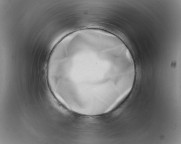 X0000112870814200909181823