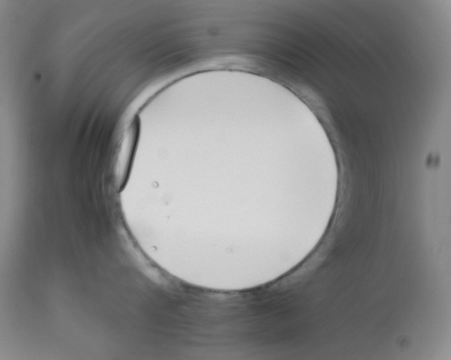 X0000112870816200909181823