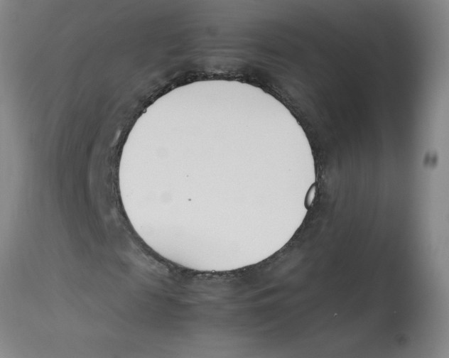 X0000112870817200909181822