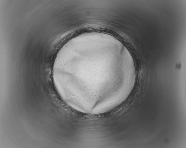 X0000112870822200909181822