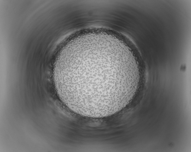 X0000112870823200909181822