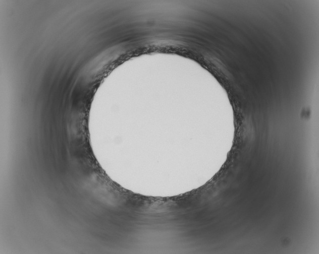 X0000112870824200909181822