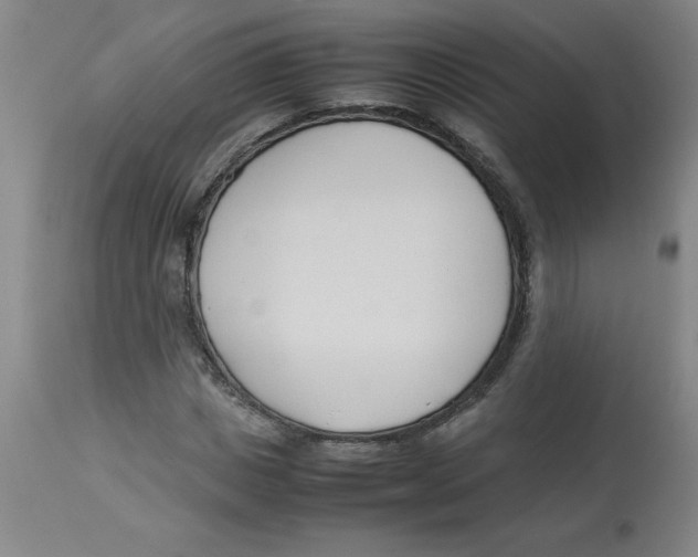 X0000112870825200909181822