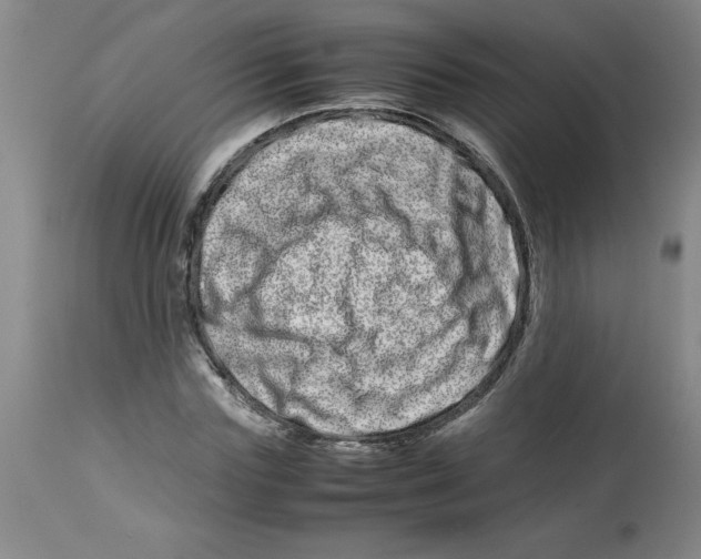 X0000112870827200909181822