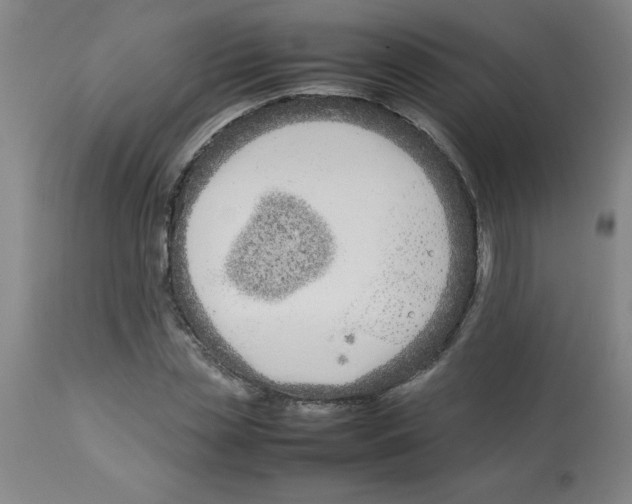 X0000112870829200909181822