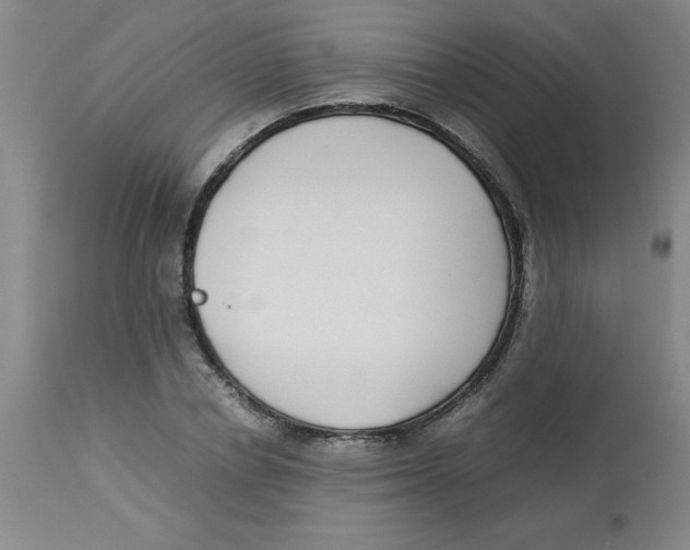 X0000112870834200909181822