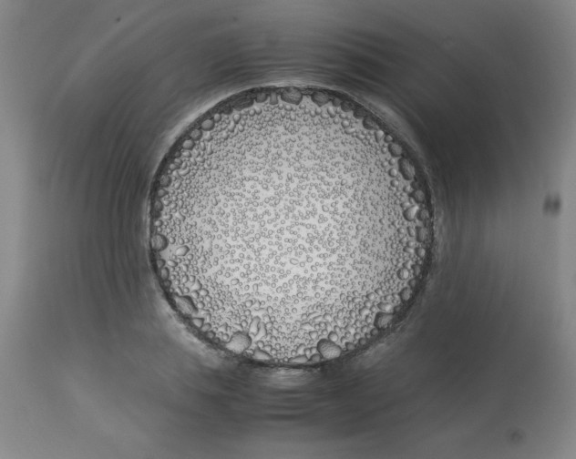 X0000112870839200909181822