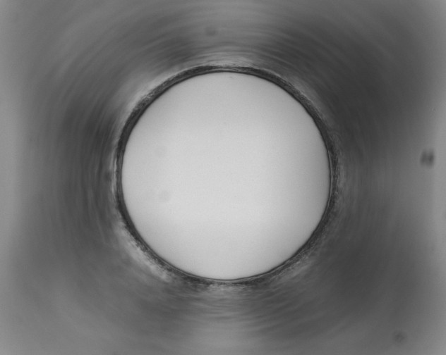 X0000112870840200909181822