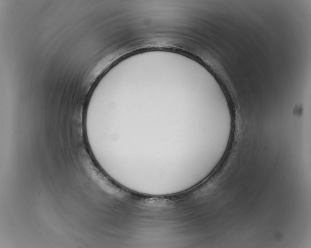 X0000112870842200909181822