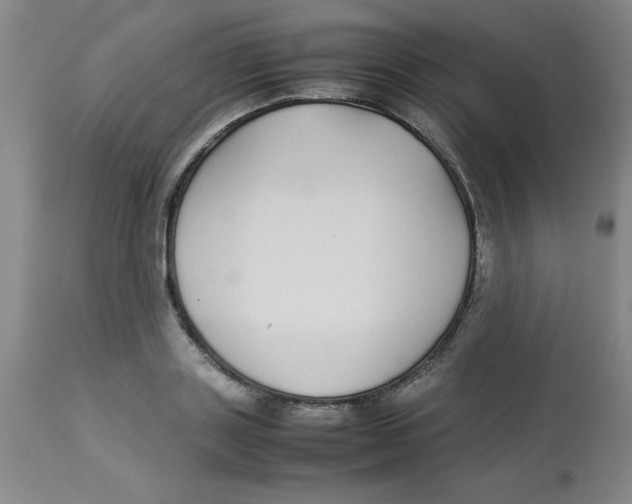 X0000112870843200909181822