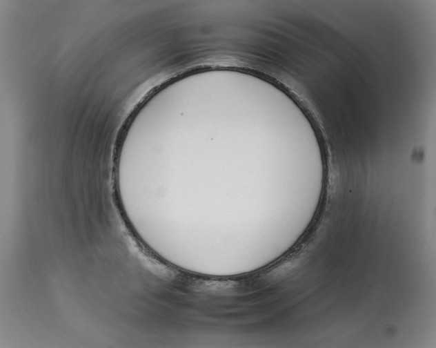 X0000112870845200909181822