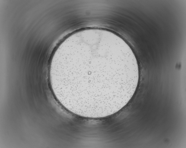 X0000112870848200909181822