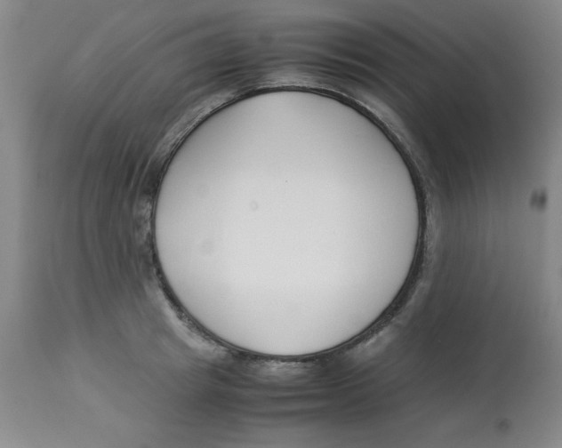 X0000112870849200909181822