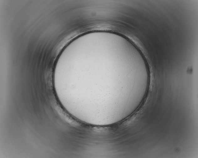 X0000112870850200909181822