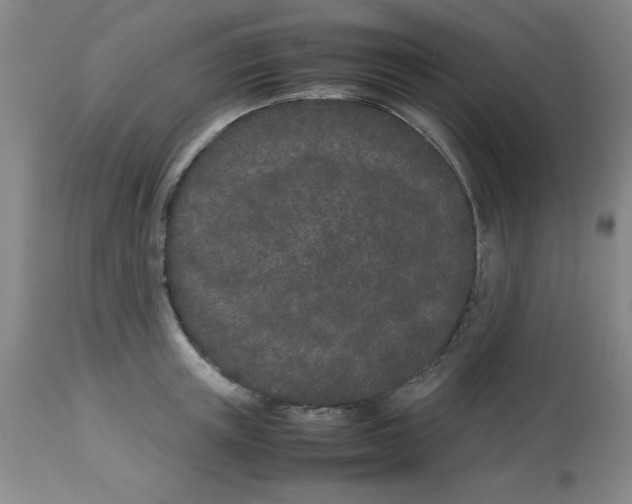 X0000112870851200909181822