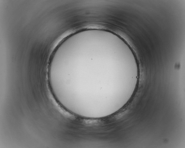 X0000112870853200909181822