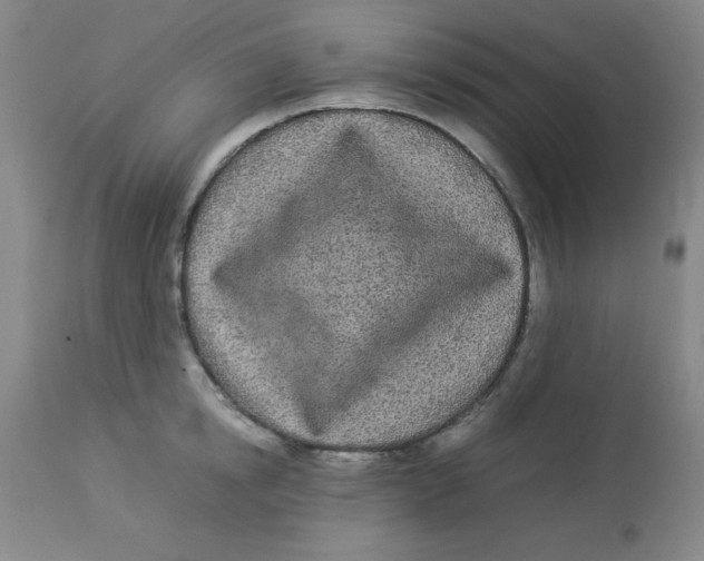 X0000112870854200909181822