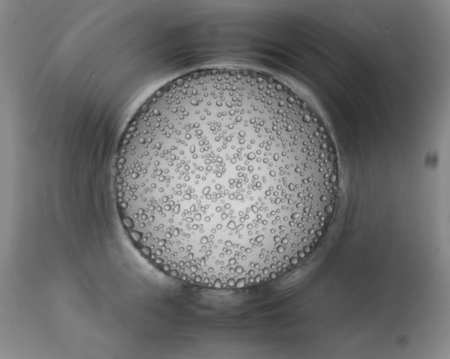 X0000112870855200909181822