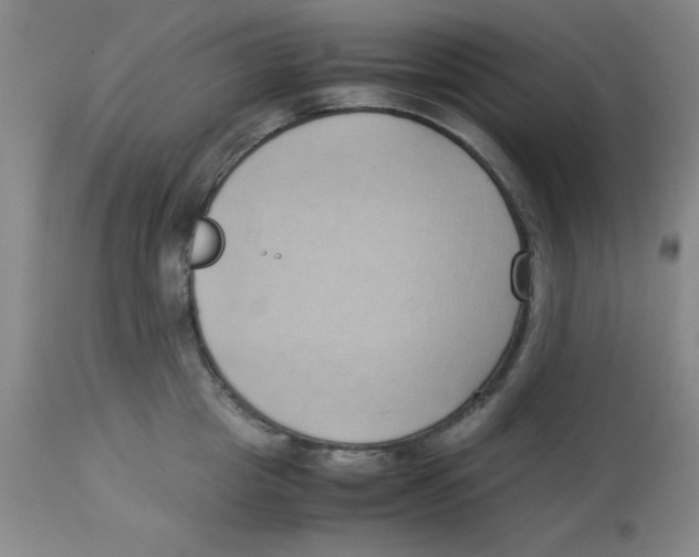 X0000112870857200909181822