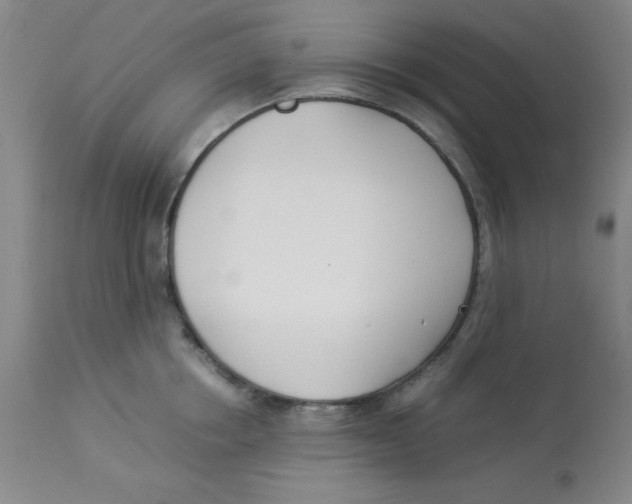 X0000112870858200909181822