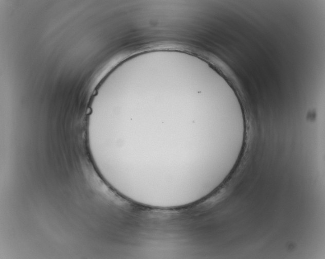 X0000112870860200909181823