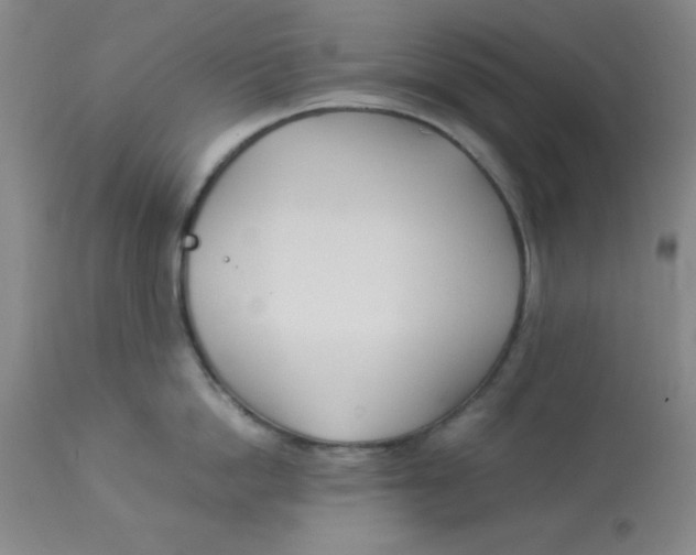 X0000112870862200909181823