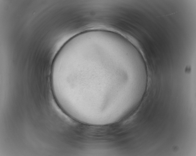 X0000112870863200909181823