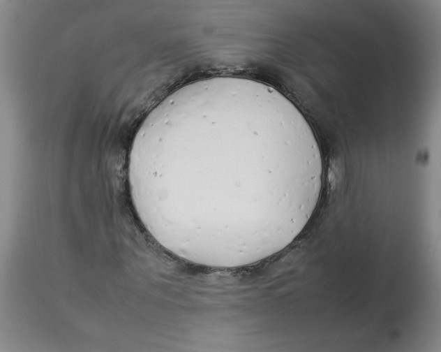 X0000112870867200909181822