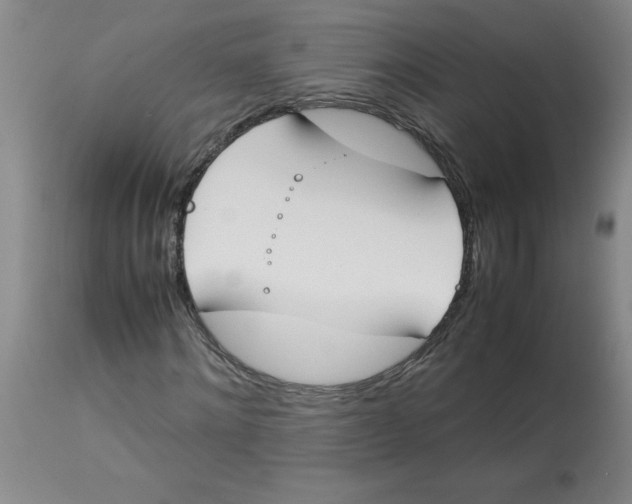 X0000112870868200909181822