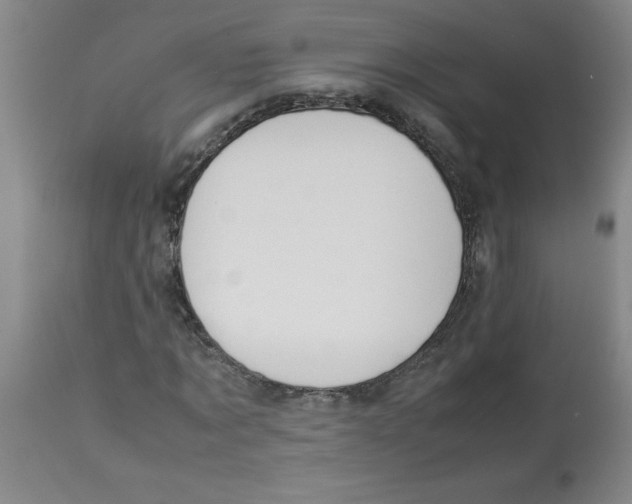 X0000112870869200909181822