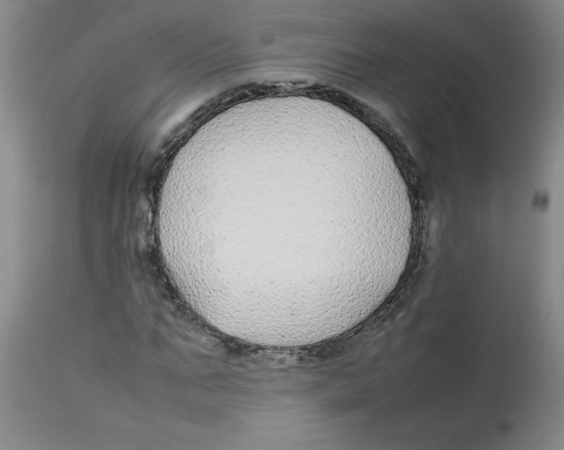 X0000112870871200909181822