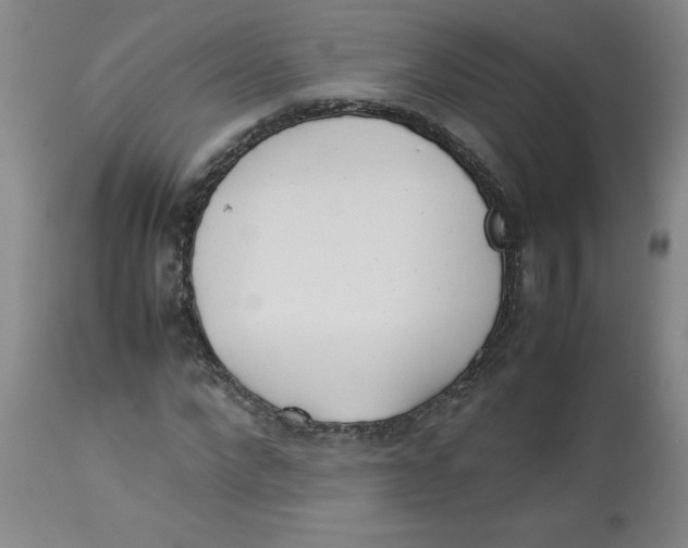 X0000112870872200909181822