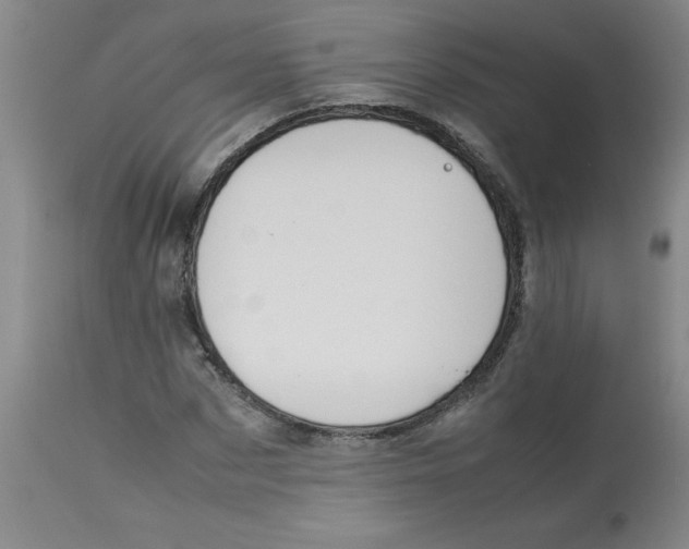 X0000112870873200909181822