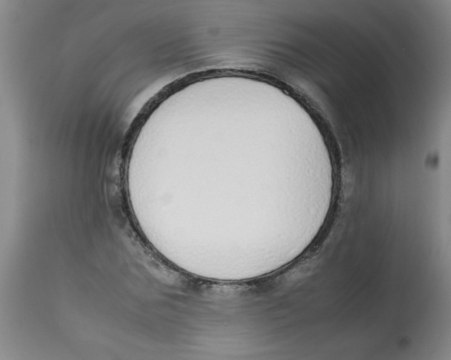 X0000112870875200909181822