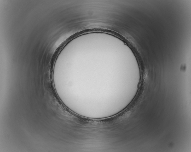 X0000112870877200909181822