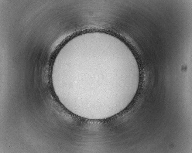 X0000112870878200909181822