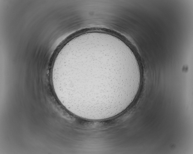 X0000112870879200909181822