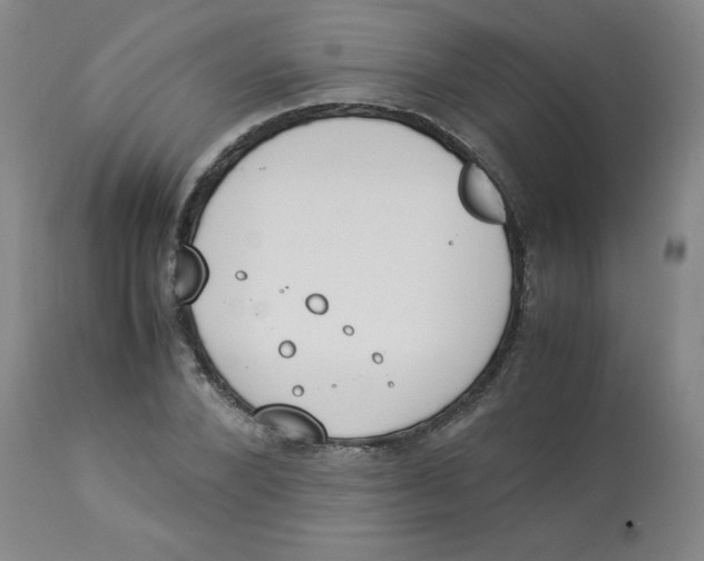 X0000112870880200909181822