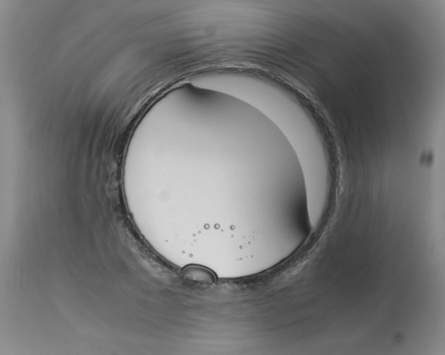 X0000112870881200909181822